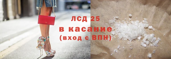 прущие грибы Вязники