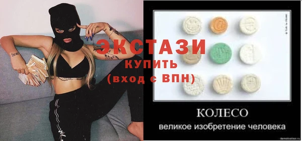 прущие грибы Вязники