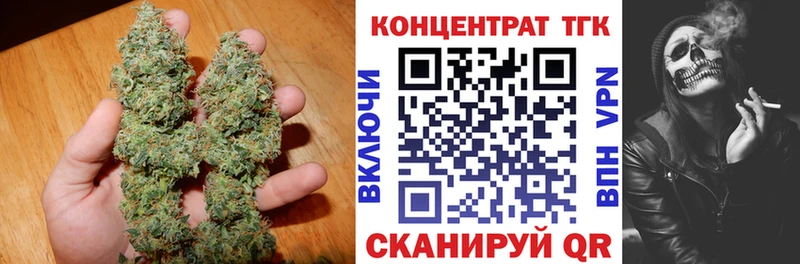 Купить закладки  Николаевск  ТГК концентрат 