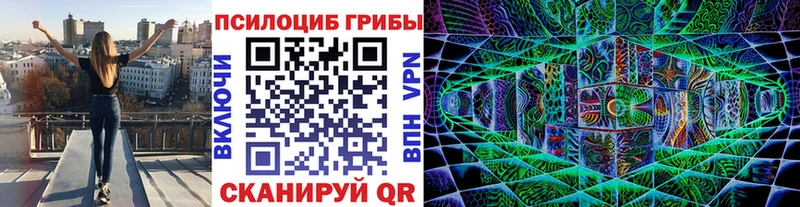 Галлюциногенные грибы Psilocybe  Купить  Николаевск 